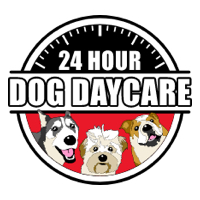 24 Hour Dog Daycare